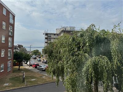 Picture 12